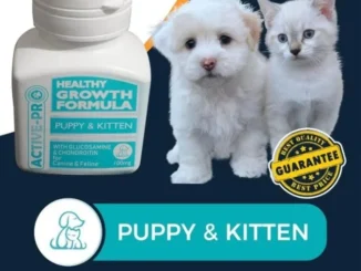 ACTIVE PRO HEALTHY GROWTH FORMULA – VITAMIN UNTUK ANAK ANJING KUCING