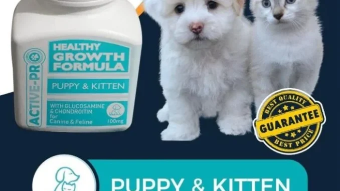 w10100046-active-pro-healthy-growth-formula-vitamin-untuk-anak-anjing-kucing-1-1.jpg ACTIVE PRO HEALTHY GROWTH FORMULA – VITAMIN UNTUK ANAK ANJING KUCING